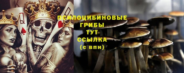 шишки Богородск