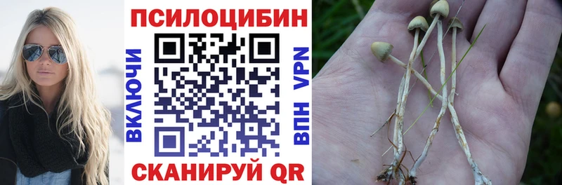 купить   MEGA ссылки  Галлюциногенные грибы мицелий  Донецк 